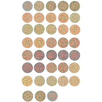 『Ishihara0319ページ』　3点 Amazon.com: STMKB Ishihara Test Card Book, Color Vision Test